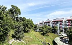 Clementi Park (D21), Condominium #582794821